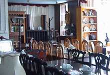 pic1.jpg