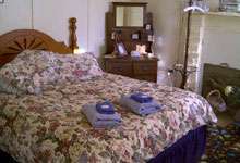 pic2.jpg