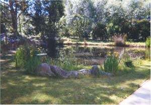platpond2.jpg