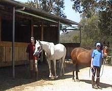 Stables1.jpg